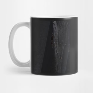 Black spider in its web Mug